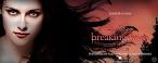 Breaking Dawn Part 2 Banner by