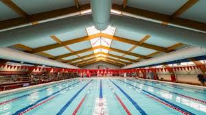 Image result for Frome Swimming Club