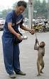 Animal rights - Wikipedia, the free encyclopedia