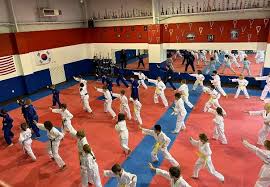 Image result for Abbey Fit Tae Kwon Do