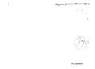 Attēlu rezultāti vaicājumam “Polyzonium germanicum”