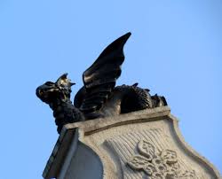 Image result for leicester dragons