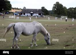 Image result for Lyndhurst Cricket Club