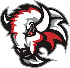 Image result for Basingstoke Buffalo