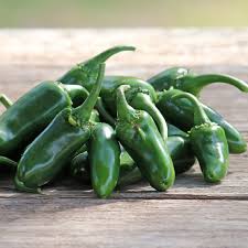 Afbeeldingsresultaat voor jalapeno early hot pepper