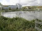 Celtic Springs Business Park, - via Daymix