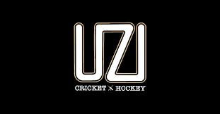 Image result for Buscot Park Cricket Club