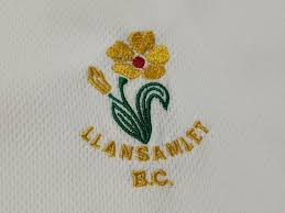 Image result for Llansamlet Bowls Club
