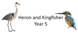 Image result for Kingfishers Netball Club