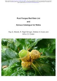 Attēlu rezultāti vaicājumam “Milesina murariae”