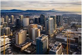 Image result for Bellevue