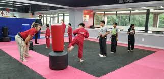 Image result for Dacula Martial Arts Dojo