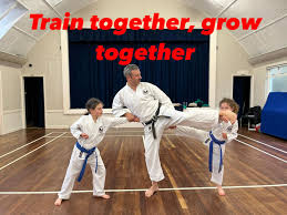 Image result for Kenshukai Karate