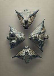 Attēlu rezultāti vaicājumam “Trapa natans”