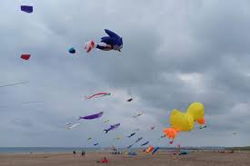 Image result for Kite Ireland
