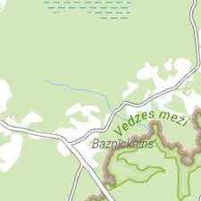 Attēlu rezultāti vaicājumam “Stemonitopsis hyperopta var. landewaldii”