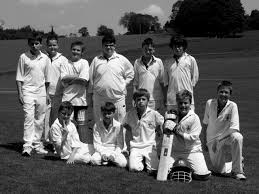 Image result for Halstead Colts Cricket Club