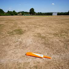 Image result for Odiham & Greywell Cricket Club