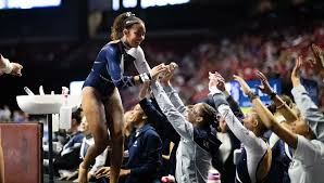 Image result for Hemsworth Odyssey Gymnastics Squad