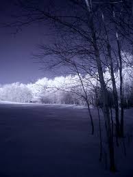 Image result for epl1 20mm night site:flickr.com