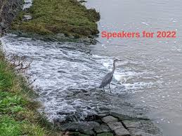 Image result for U3A Bude & District Scrabble Club