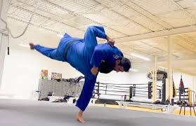 Image result for Revolution Dojo