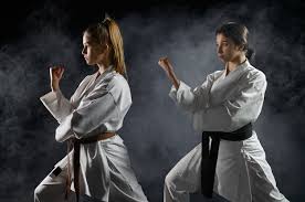 Image result for Action Karate