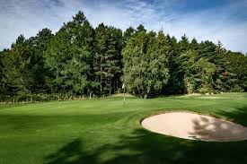 Image result for Elgin Scrabble Club