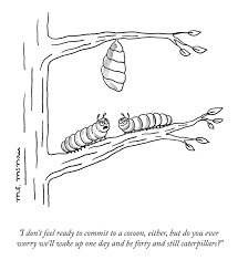 Attēlu rezultāti vaicājumam “cocoon”