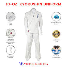 Image result for Kyokushin Karate