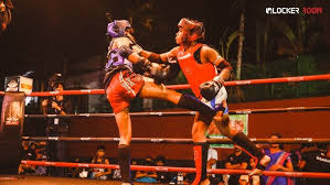 Image result for GFC Muay Thai Boxing