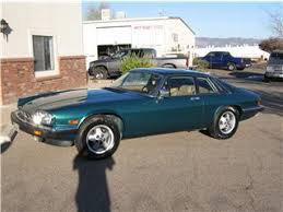 Image result for Curlew 1986 Jaguar