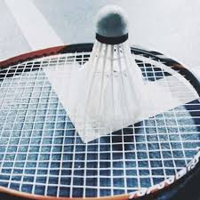 Image result for Earls Colne (Colchester) Badminton Club