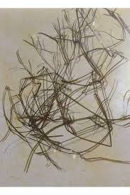 Attēlu rezultāti vaicājumam “Stuckenia pectinata leaf”