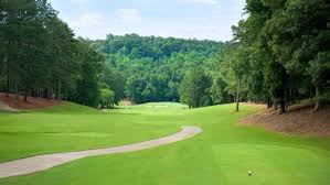 Image result for Roebuck Bowling Club