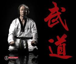 Image result for Dragon Martial Arts Association