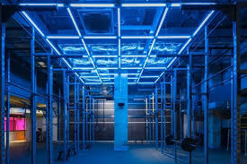 Image result for JTT Muay Thai