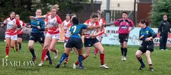Image result for Lisburn Rugby Football Club