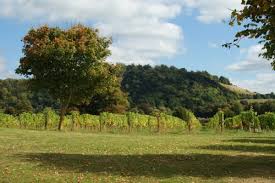 Image result for Box Hill SC