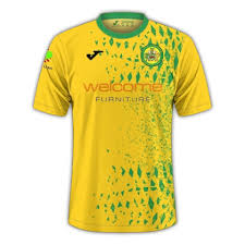 Image result for Caernarfon Football Club