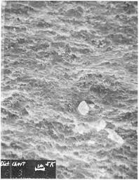 Image result for SEM micrographs of Novaculite Arkansas