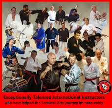 Image result for Martial Art Centre of Excellence