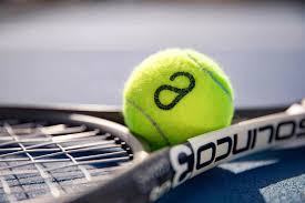 Image result for Albany Badminton Club