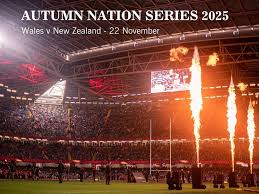 Image result for Clwb Criced A Bowlio Bethesda