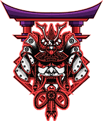 Image result for Budo Warrior Schools