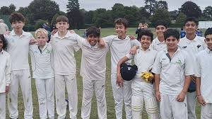 Image result for Boyne Hill Cricket Club