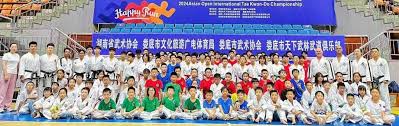Image result for I T F Taekwondo (Andover)