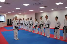 Image result for English International Allstyles Taekwon-Do