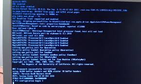 Image result for kernel panic snow leopard