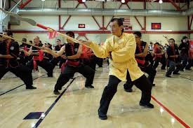 Image result for Hidden Dragon Karate-Do